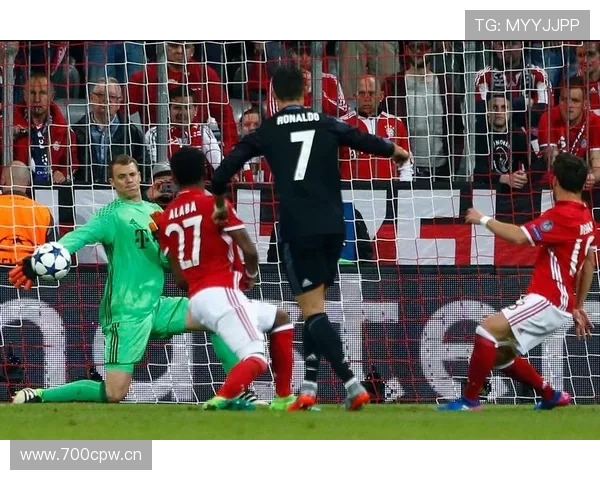 诺伊尔防线体系适配 诺伊尔防线体系适配