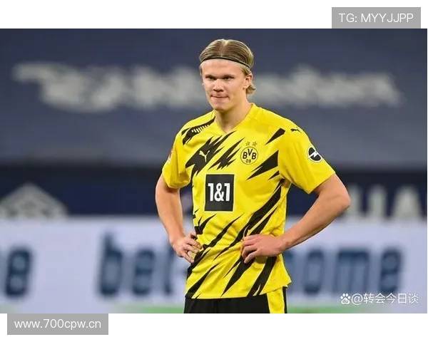 哈兰德高产数据解析:效率与体系依赖 哈兰德高产数据解析:效率与体系依赖