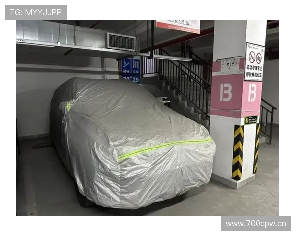 孙悦家的车库比我家还大，里面停的车我一辆都叫不出名字